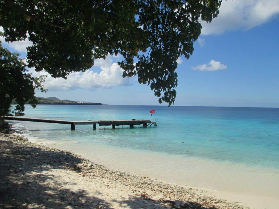 Surfers-Divers-Angelica-1