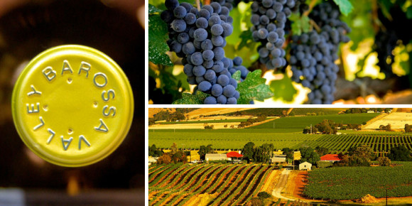 comm366-blog-australia-1200x600