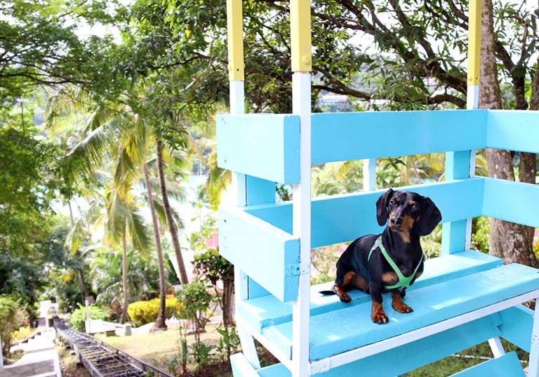 crusoe-at-oasis-marigot-768x537