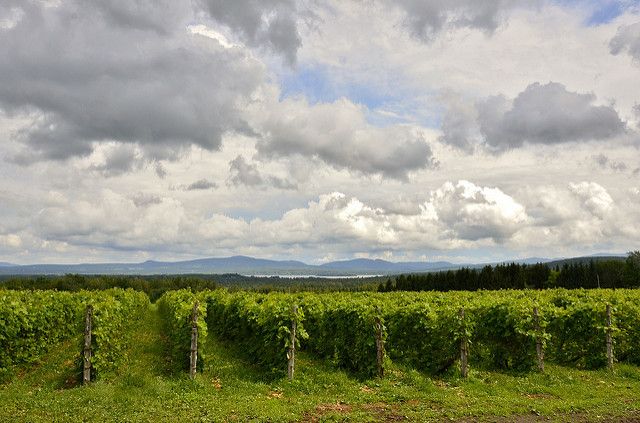 Canton de l'Est, Québec - Elaine Berger Åsman