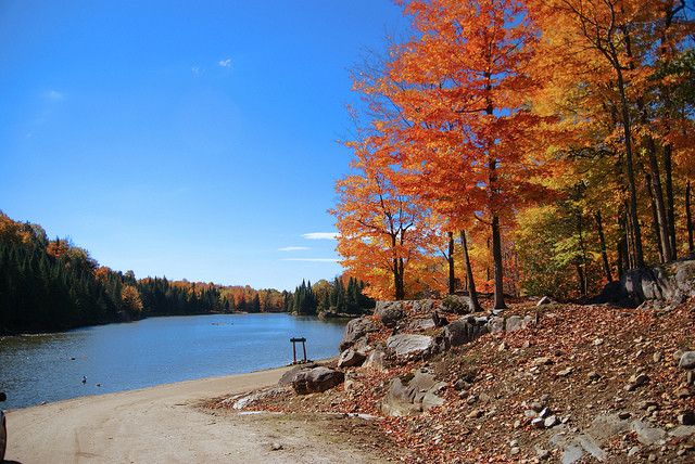 Omega Park - lezumbalaberenjena