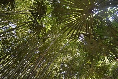 Echange de maison avis Gard