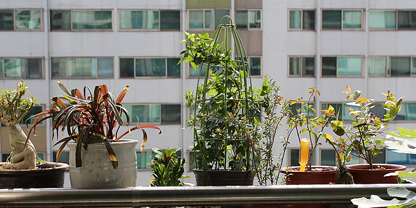 comm632_600x300_ismyhome_6