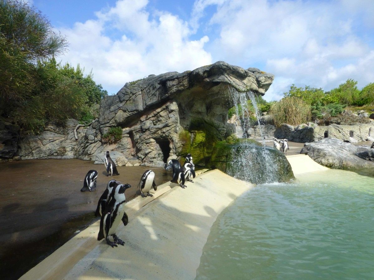 Guérande échange de maison Bretagne