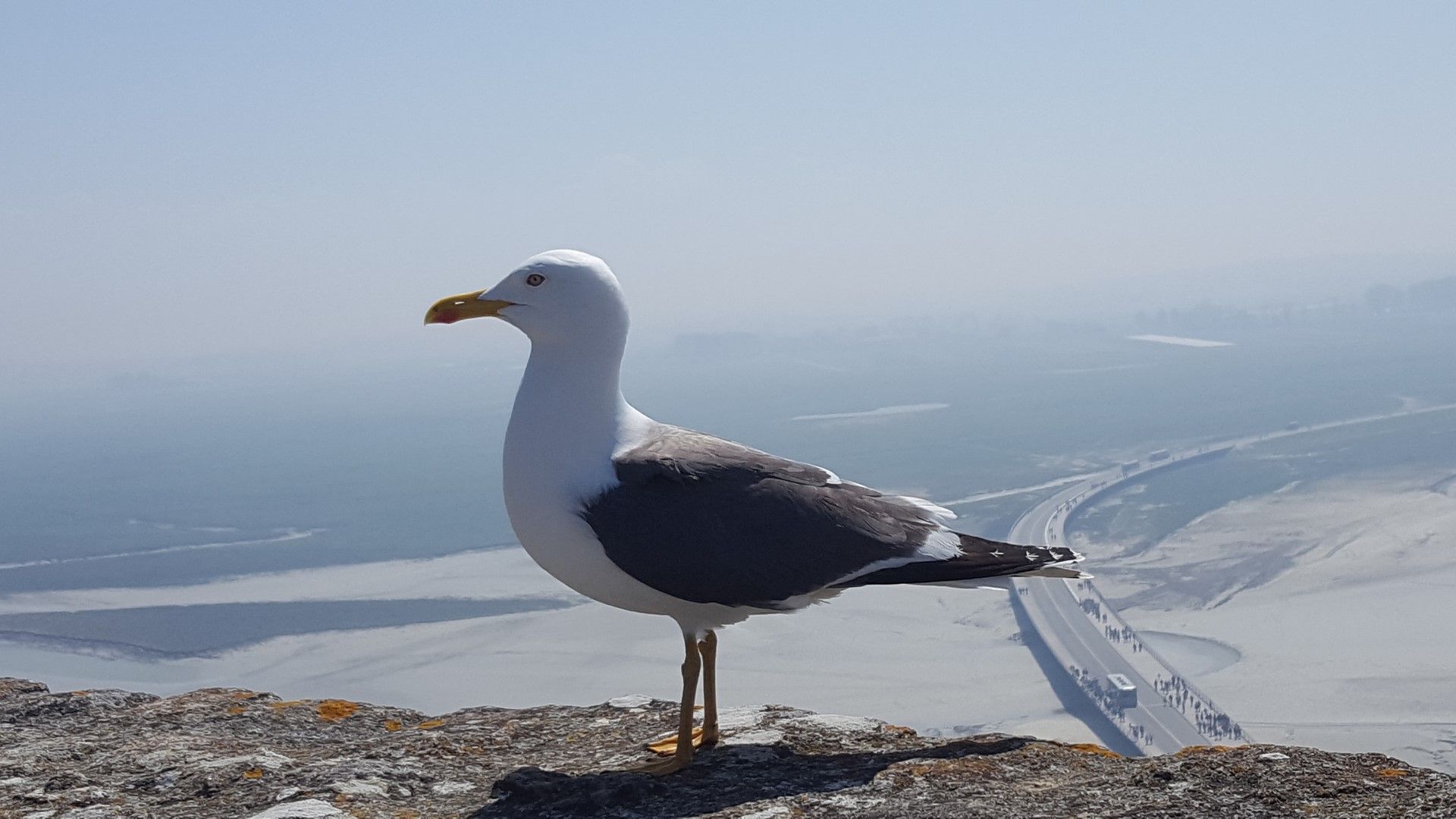 Rencontres en Normandie avec HomeExchange