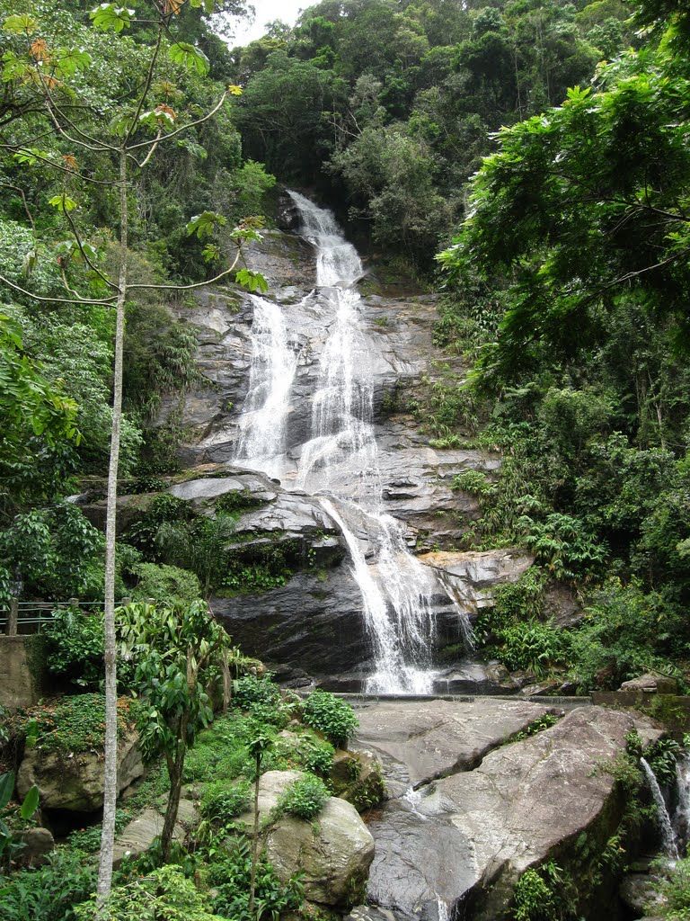 4-parc-national-de-tijuca-activites-rio-janeiro-echange-de-maison