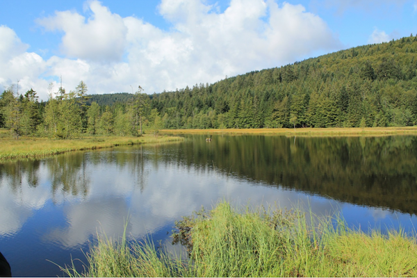 montagne-vosges-sentier-pieds-nus-lac-blanc
