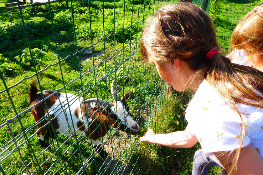 L-e-change-de-maison-est-authentique