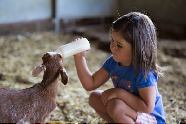 Echange-de-maison-solution-ideale-vacances-famille-partage-convivialite