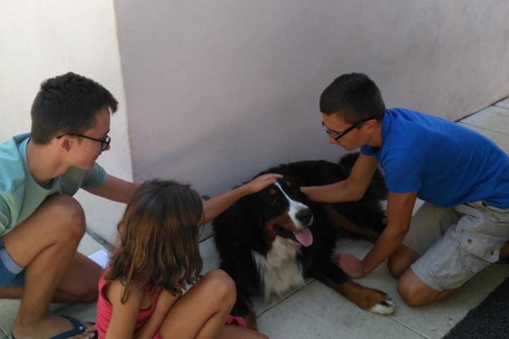 Alt HomeExchange_famille_chien, title HomeExchange_famille_chien