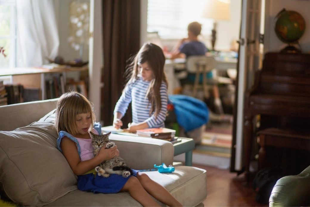 Alt HomeExchange_salle-de-sejour_enfants_chat, title HomeExchange_salle-de-sejour_enfants_chat