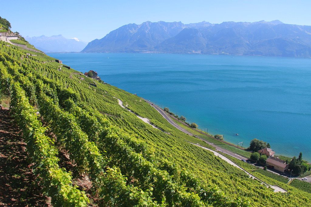 lavaux-suisse-vignes-vignobles-vacances-été indien-echange de maison