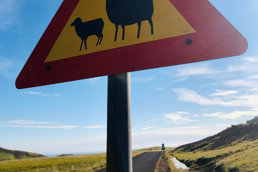 Echange-de-maison-Islande-temoignage-HomeExchange