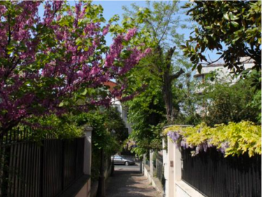 Rues-secretes-Paris-Rue-de-Mouzaia