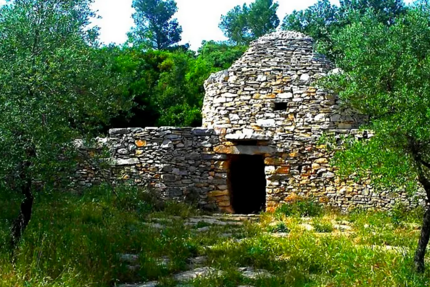 Que-faire-a-Nimes-en-Famille-decouvrir-ville-bois-des-Espeisses