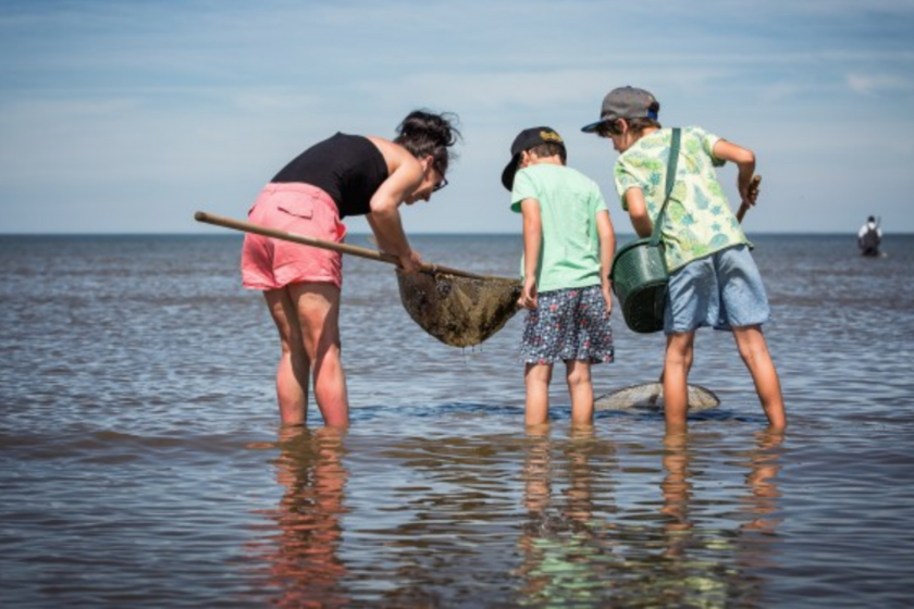 activite bretagne peche a pied