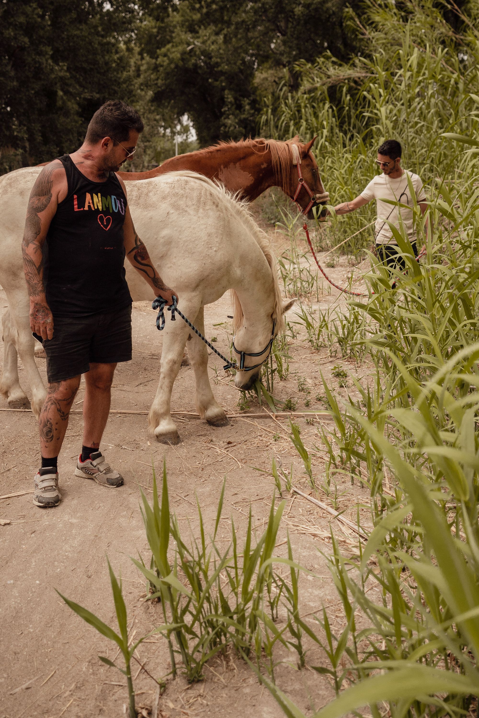 Vincent chez Mathieu et Alexandre en échange de maison