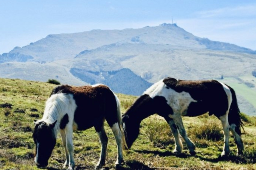 Randonnee Pays Basque Rhune