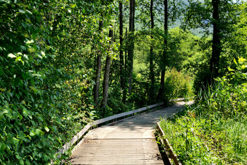 Randonnées Annecy sentier réserve du Bout du Lac