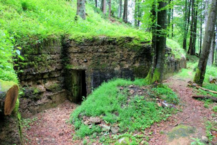Randonnées Vosges sentier Tête des Faux