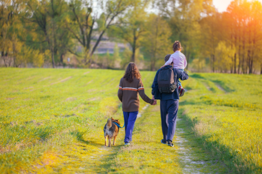 Garde chien vacances