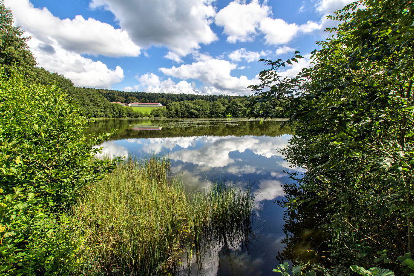 Activités vosges relaxantes