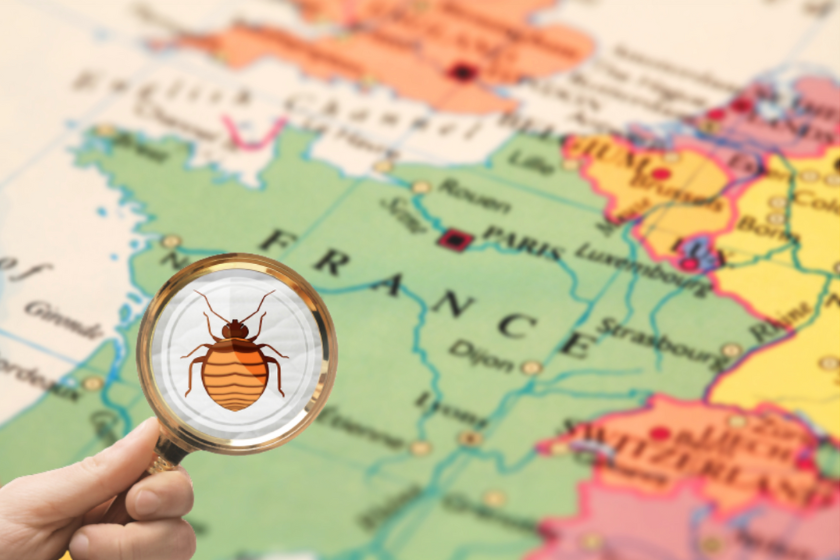 Punaises de lit et échanges de maisons recrudescence à Paris