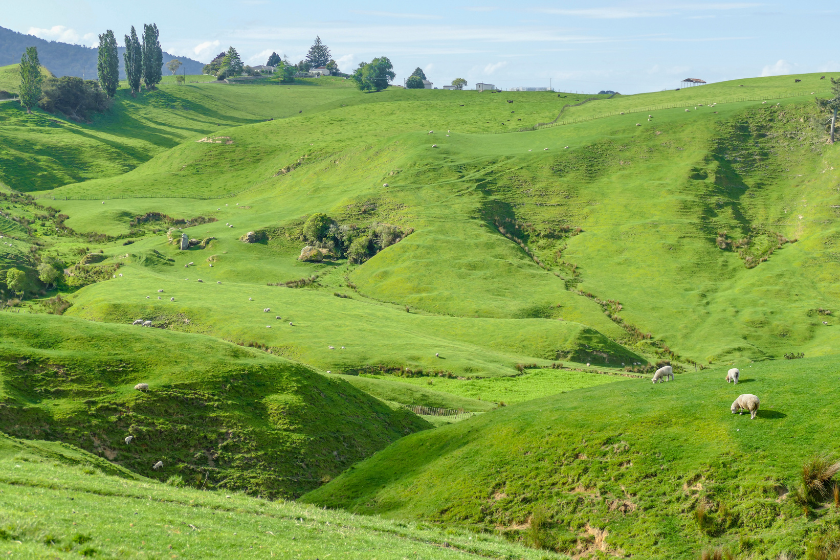 lieux de tournage célèbres du cinéma et de la télé Nouvelle Zélande