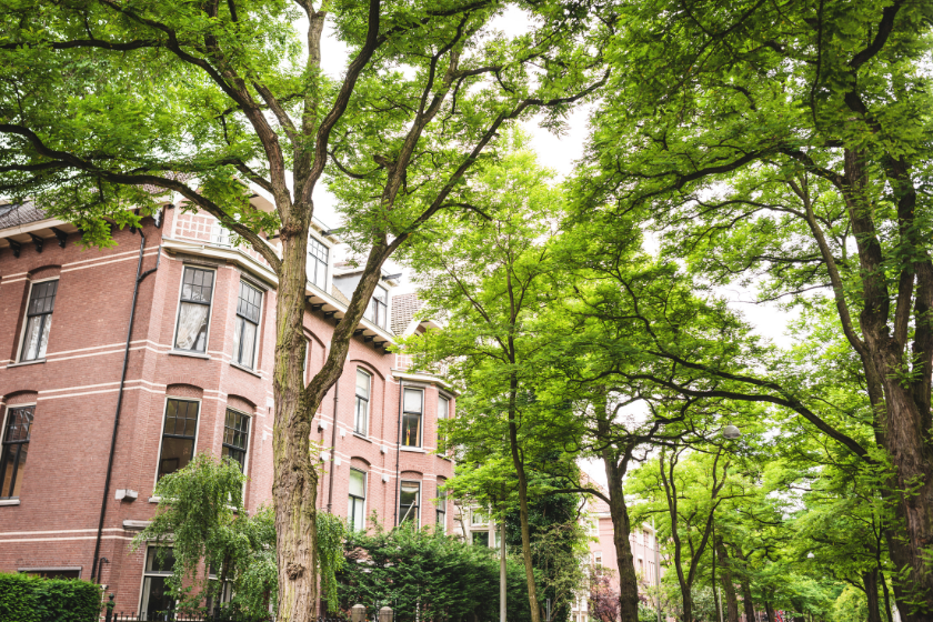 Week-end à Amsterdam découvrir ses quartiers