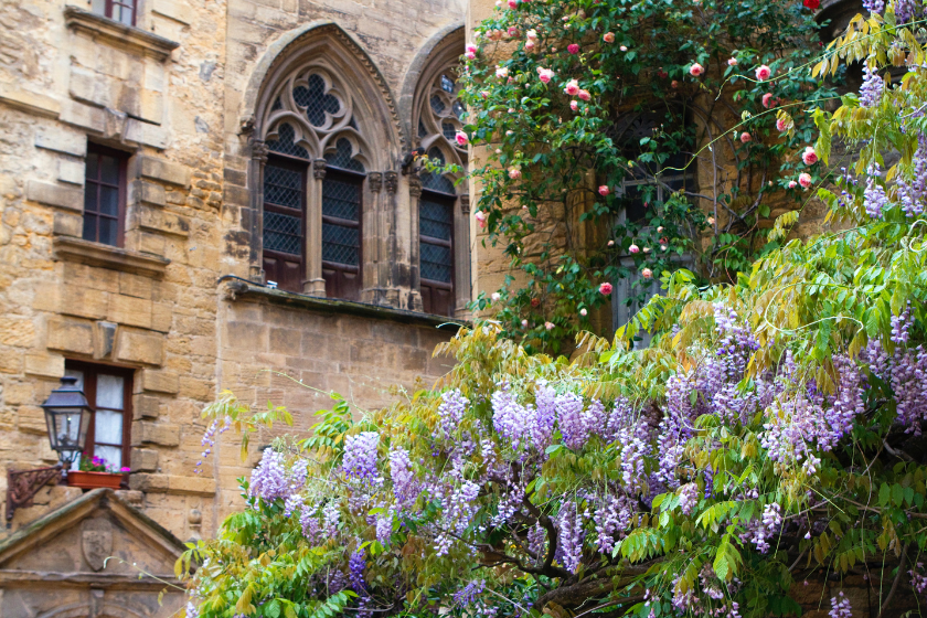 train direct bordeaux