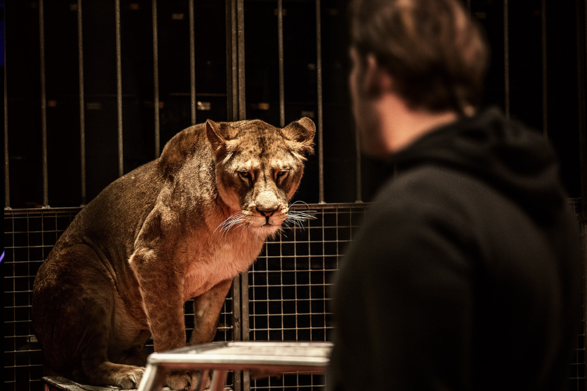 bonnes pratiques tourisme