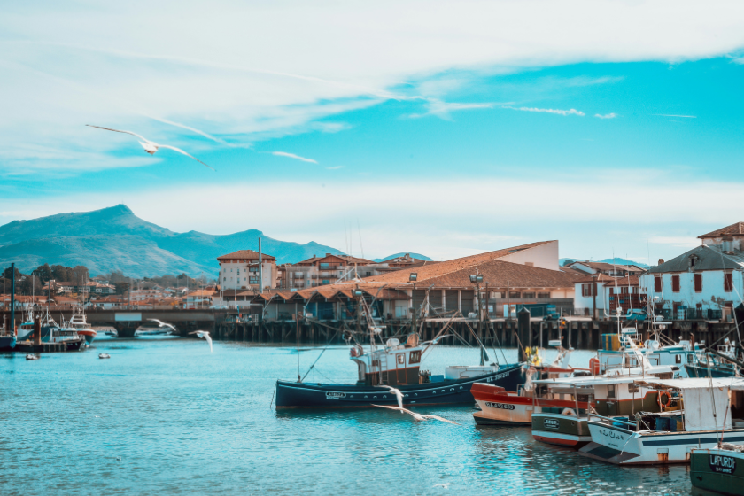 où partir en décembre