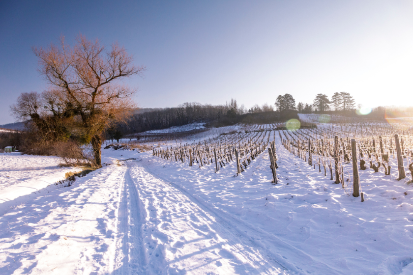 Où partir en février Jura