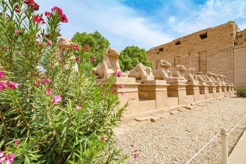 Voyage en Égypte pas cher 10 conseils planifier ses activités