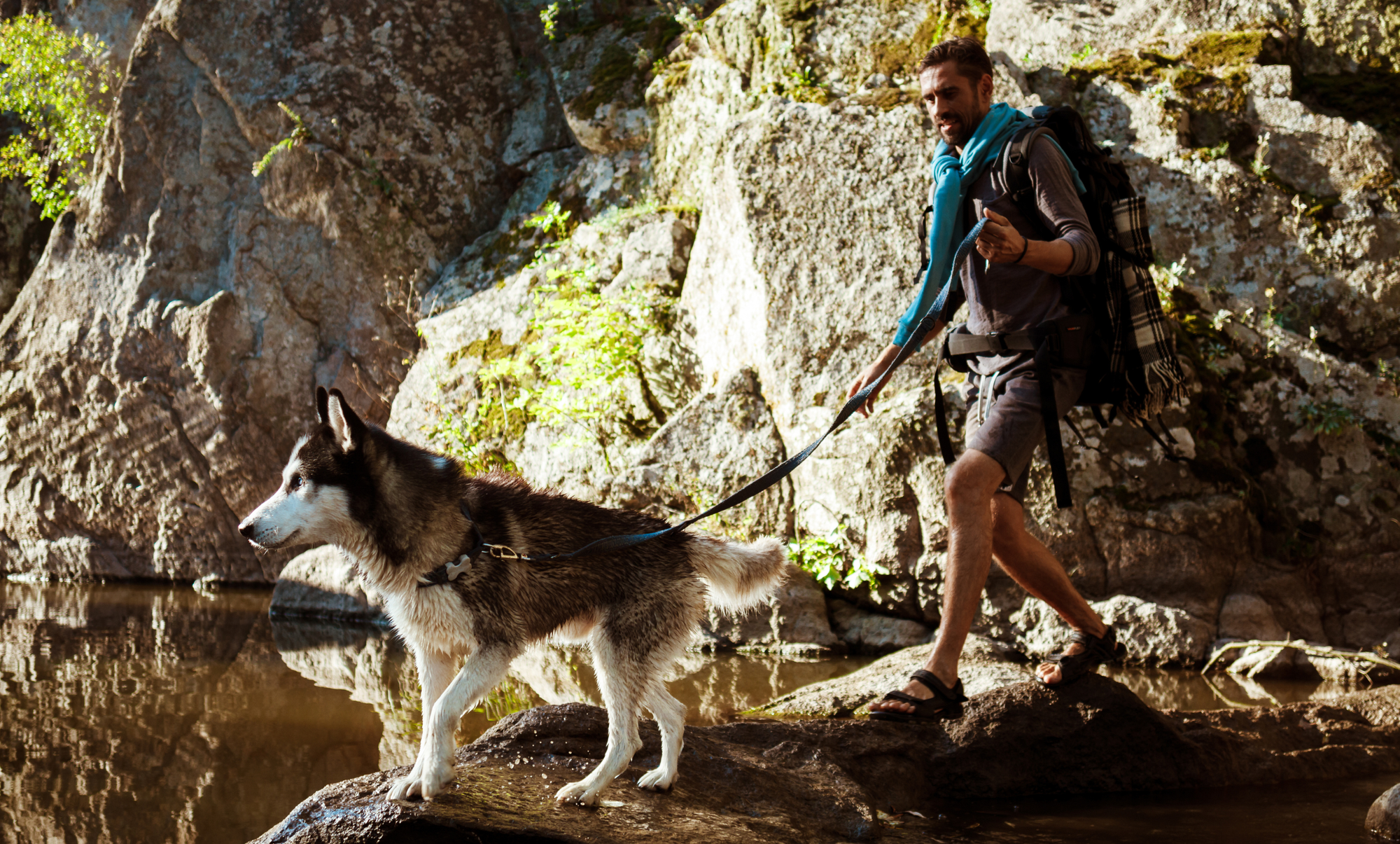 Cani-rando en montagne dans les Hautes-Pyrénées