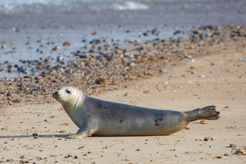 weekend insolite dans les hauts de france