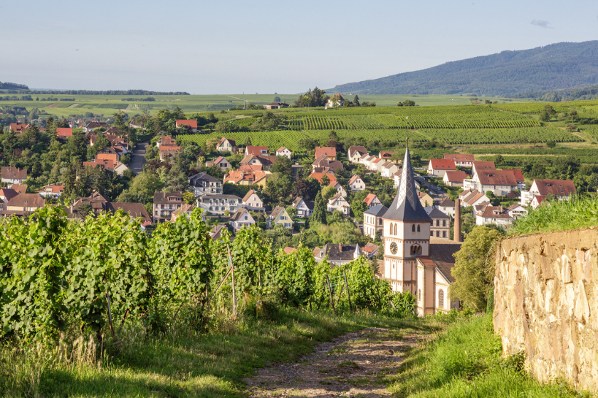Que faire autour de Strasbourg Barr