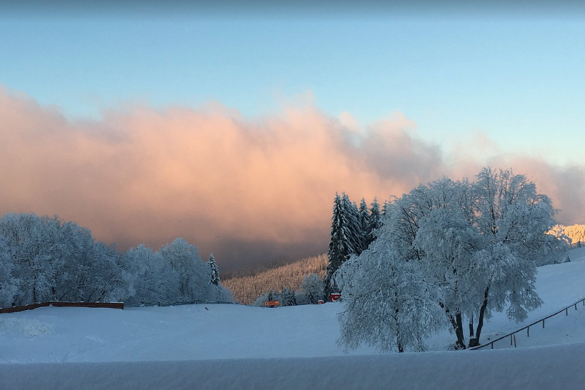 Que faire autour de Strasbourg le Champ du Feu