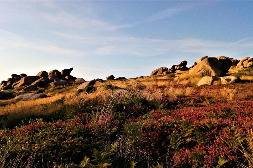 activité incontournable près de nantes