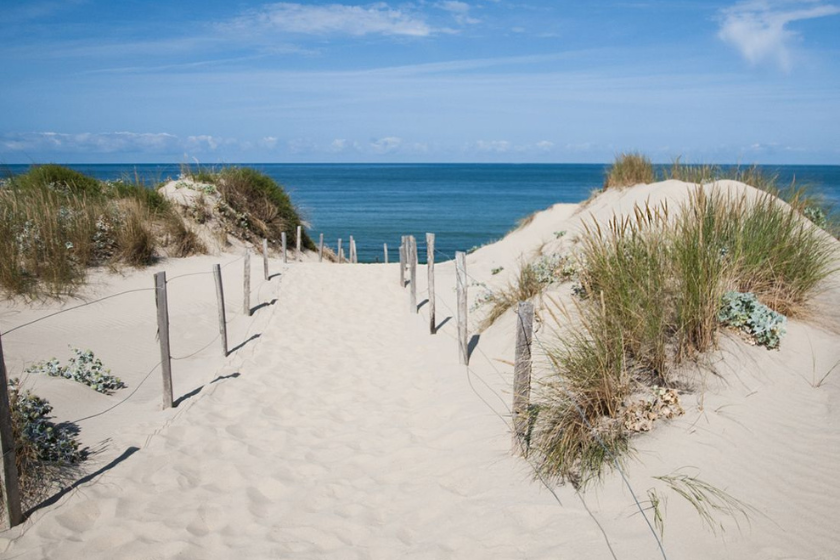 Plage de l'Espiguette - Camargue.png