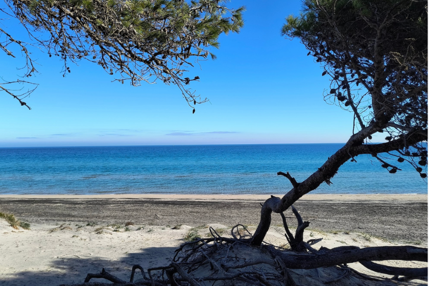 Visiter les Pouilles lacs et plage d'Alimini