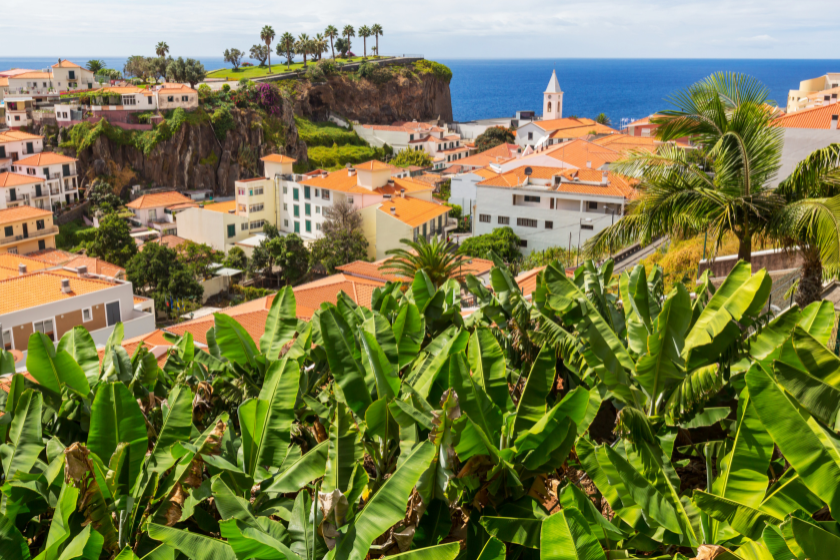 Pays à visiter en janvier Madère