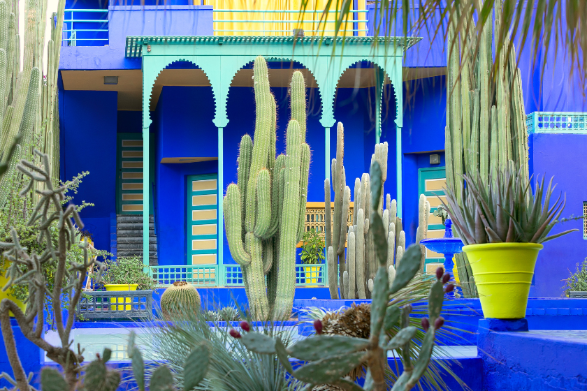Week end Marrakech 3 jours jardin Majorelle
