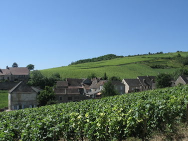 voir route des grands crus bourgogne 
