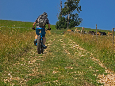 Partir dans le massif du Jura au printemps
