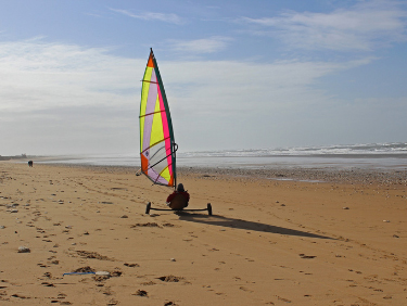 Visiter Carcassonne au printemps