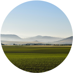 Visiter la route des volcans en Auvergne cet été