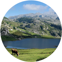 Partir dans les Pyrénées cet été