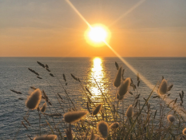 échange de maison pratique