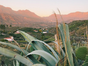 émoignage de membres : partir en randonnée dans les Canaries - échange de maison